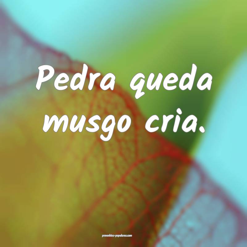 Pedra queda musgo cria.
...