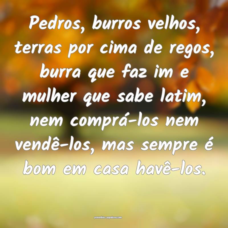 Pedros, burros velhos, terras por cima de regos, burra que faz im e mu...
