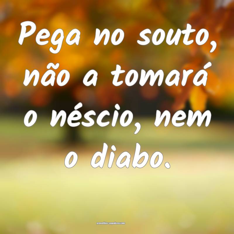 Pega no souto, não a tomará o néscio, nem o diabo.
...