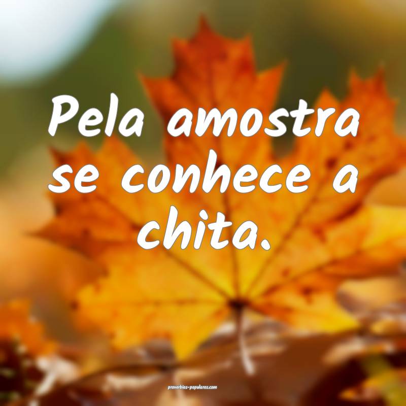 Pela amostra se conhece a chita.
...