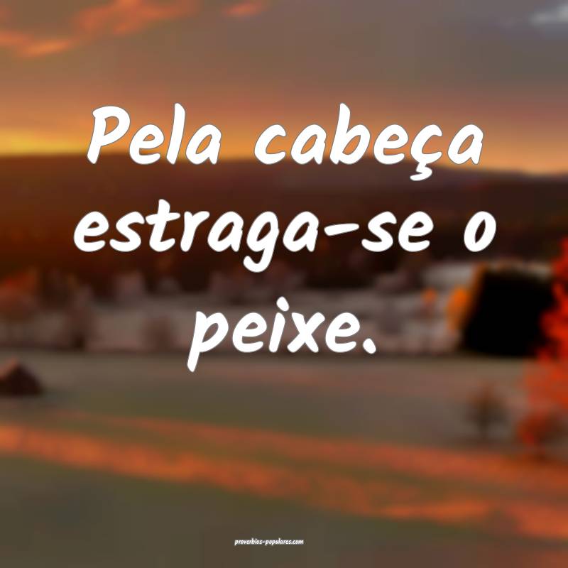 Pela cabeça estraga-se o peixe.
...