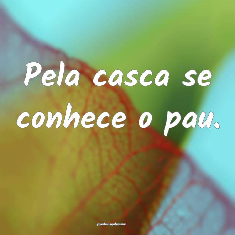 Pela casca se conhece o pau.
...