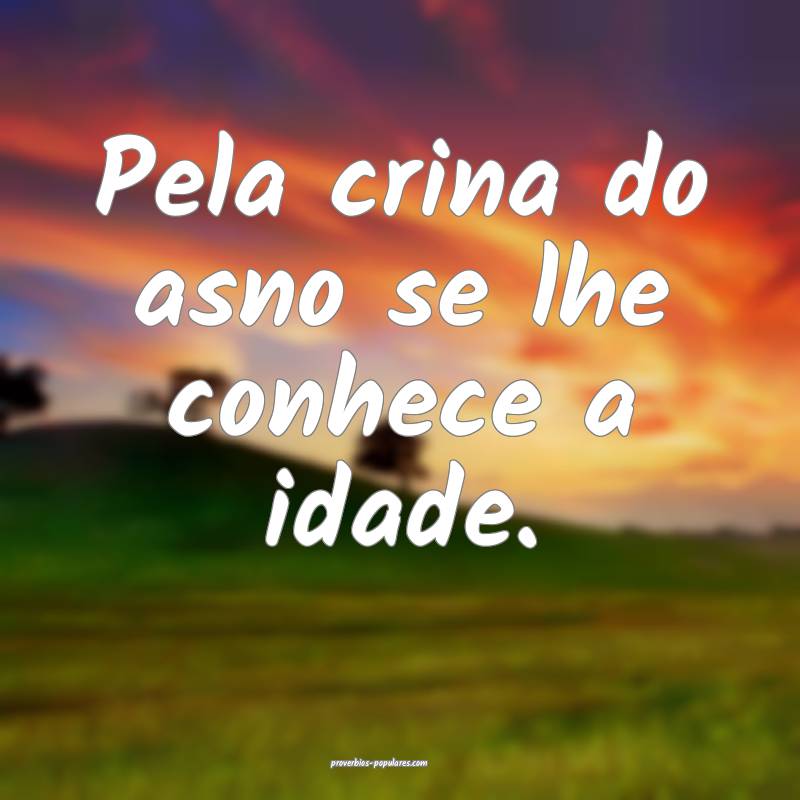 Pela crina do asno se lhe conhece a idade.
...