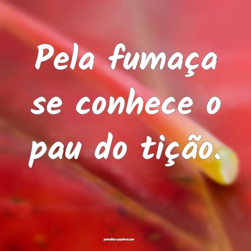 Pela fumaça se conhece o pau do tição.
 ...
