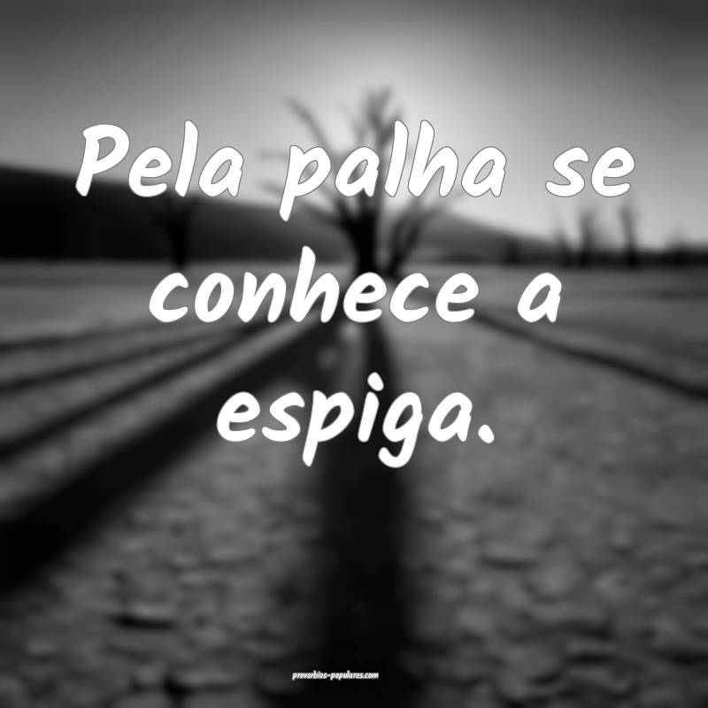 Pela palha se conhece a espiga.
...