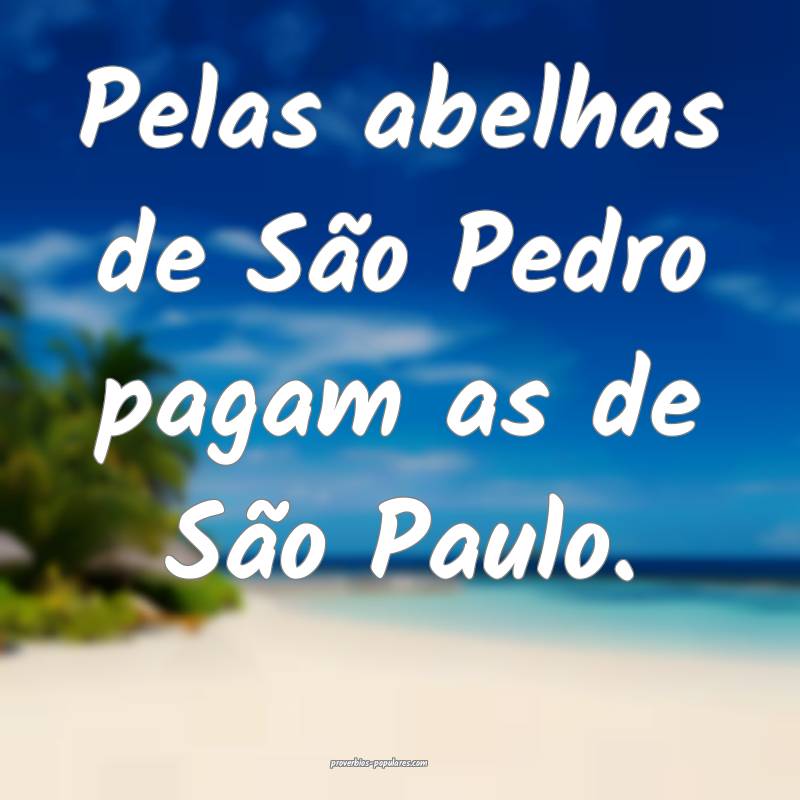 Pelas abelhas de São Pedro pagam as de São Paulo.
...