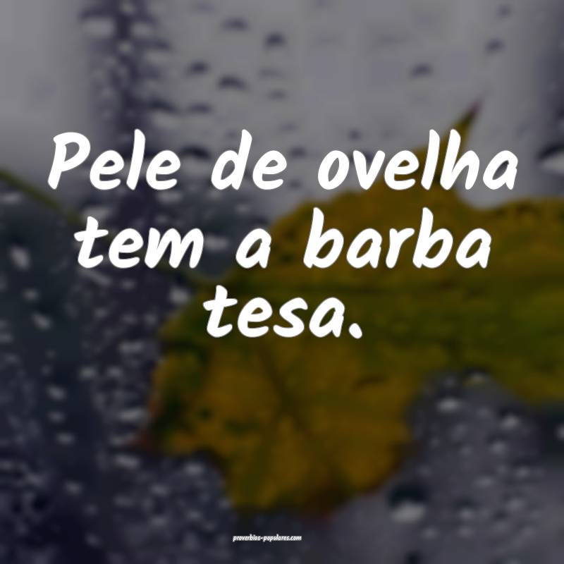 Pele de ovelha tem a barba tesa.
 ...