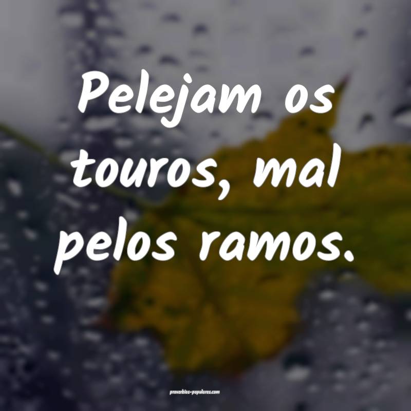 Pelejam os touros, mal pelos ramos.
 ...