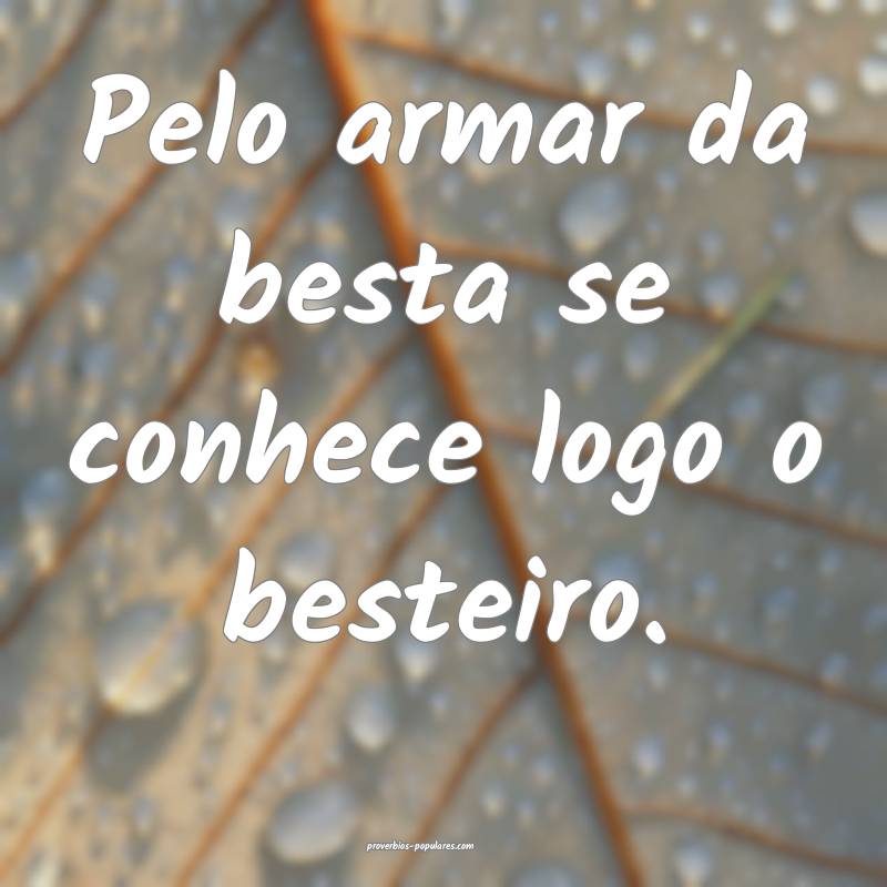 Pelo armar da besta se conhece logo o besteiro.
...