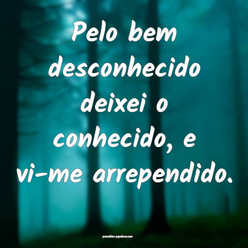 Pelo bem desconhecido deixei o conhecido, e vi-me arrependido.
...