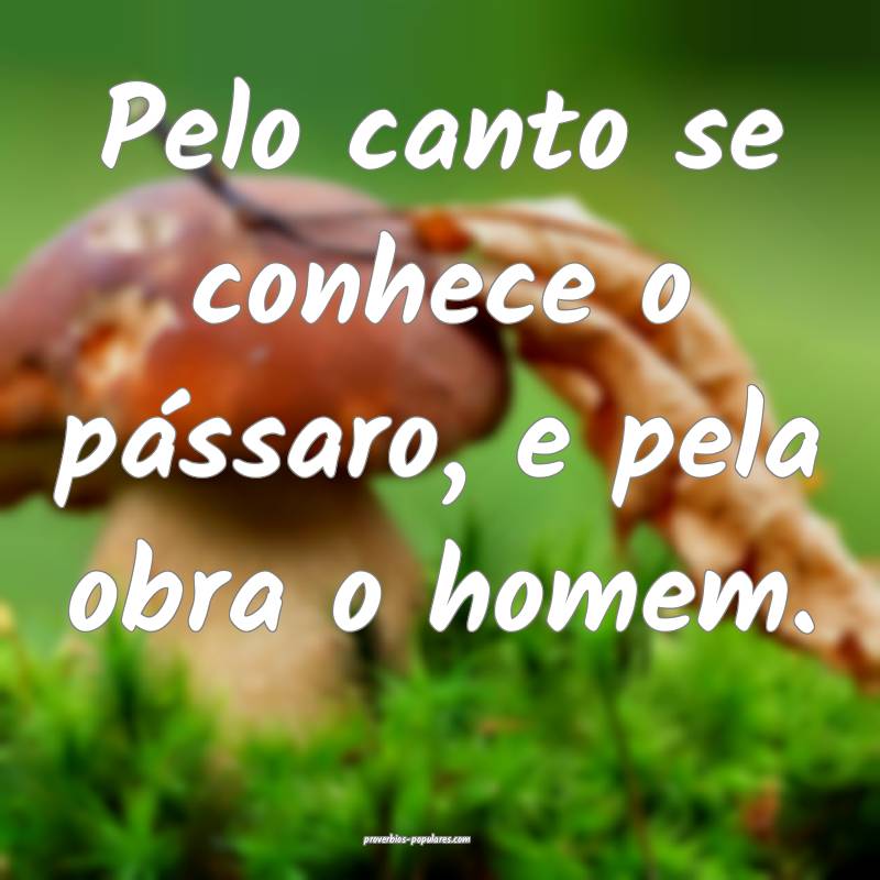 Pelo canto se conhece o pássaro, e pela obra o homem.
...