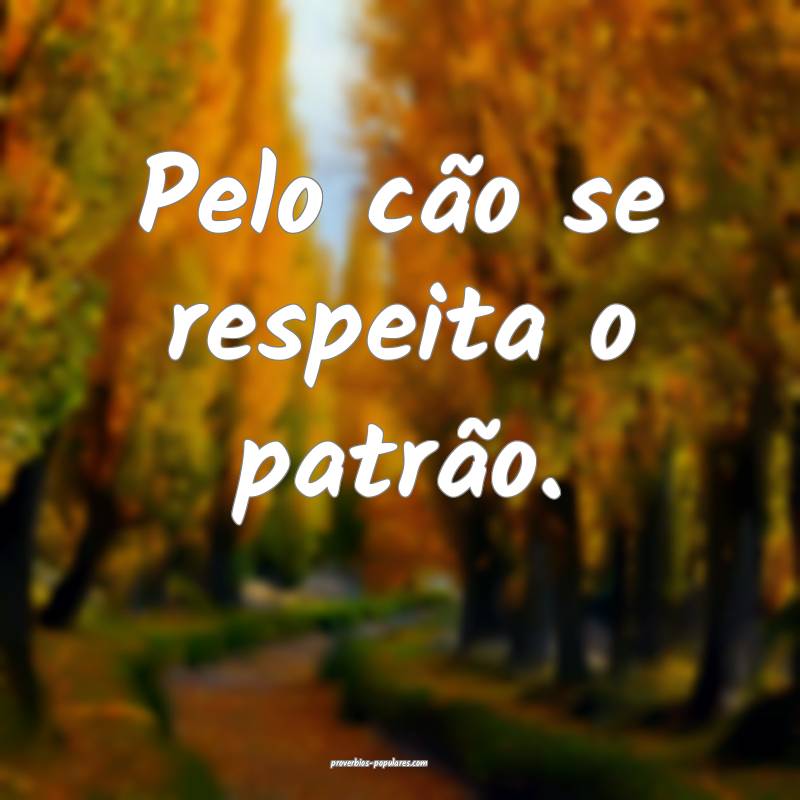 Pelo cão se respeita o patrão.
...