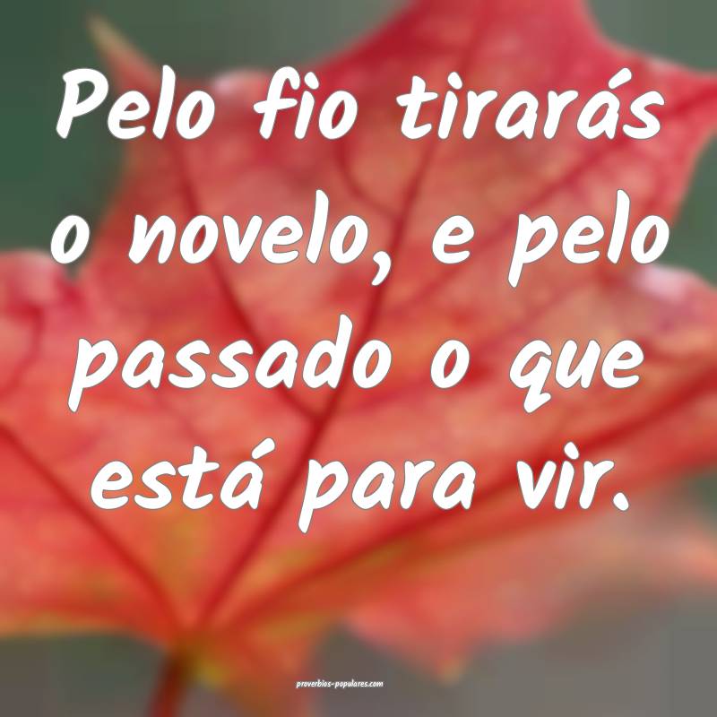 Pelo fio tirarás o novelo, e pelo passado o que está para vir.
...
