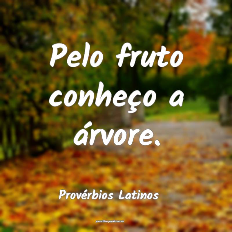 Provérbios Latinos - Pelo fruto conheço a árvor ...