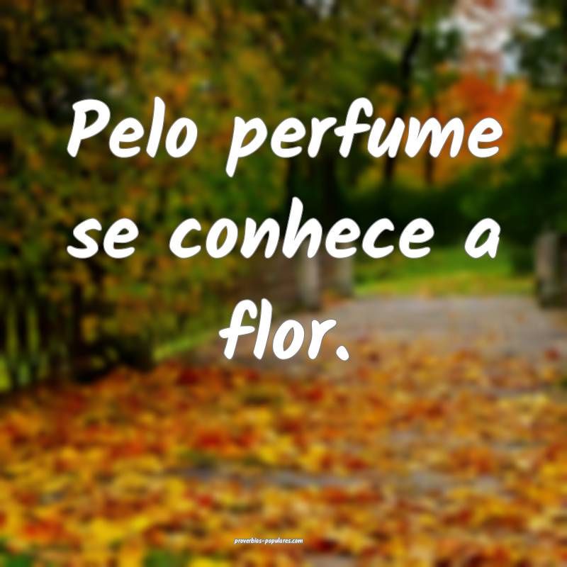 Pelo perfume se conhece a flor.
...
