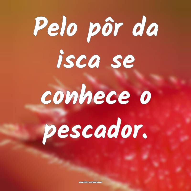 Pelo pôr da isca se conhece o pescador.
...