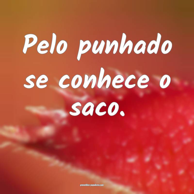 Pelo punhado se conhece o saco.
...