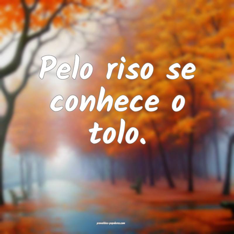 Pelo riso se conhece o tolo.
...