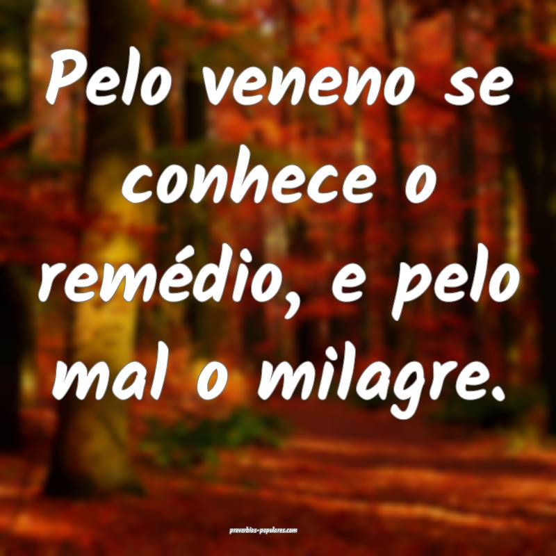 Pelo veneno se conhece o remédio, e pelo mal o milagre.
...