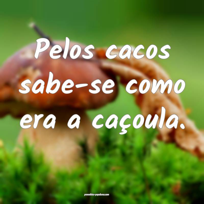 Pelos cacos sabe-se como era a caçoula.
 ...