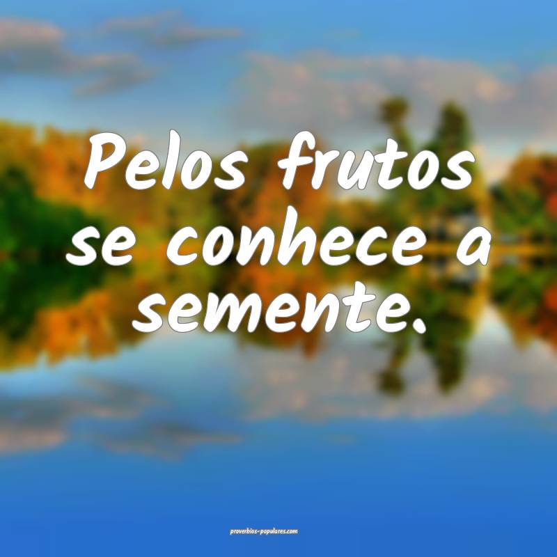 Pelos frutos se conhece a semente.
...
