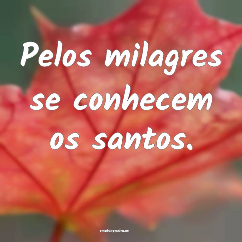 Pelos milagres se conhecem os santos.
...