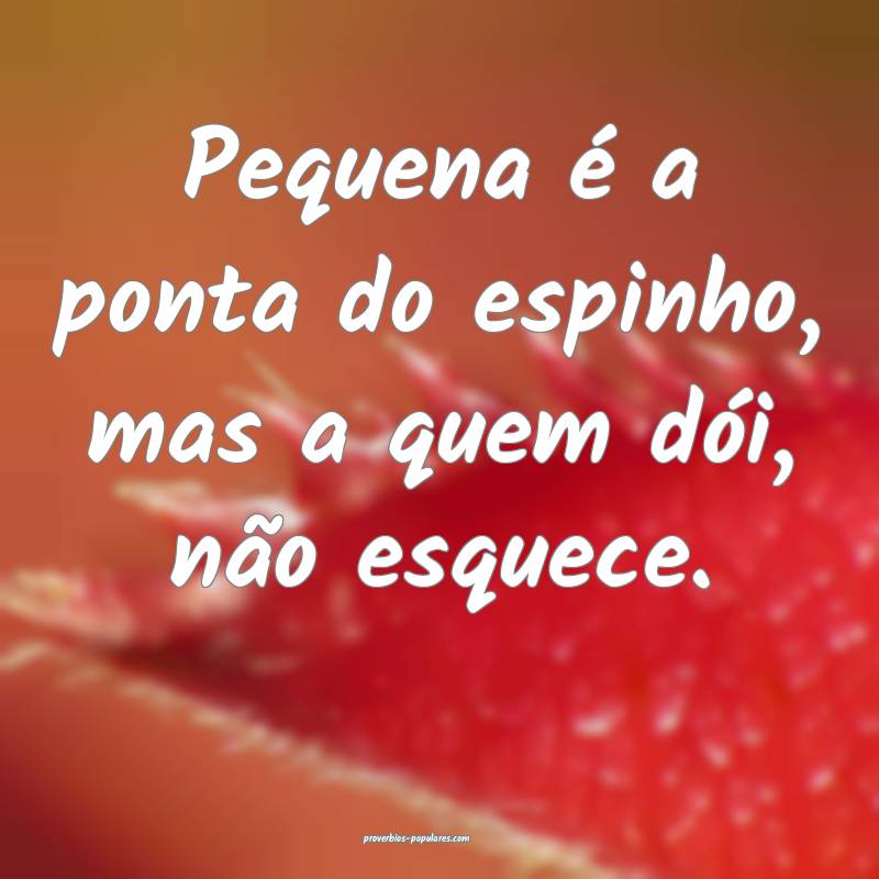 Pequena é a ponta do espinho, mas a quem dói, não esquece.
...