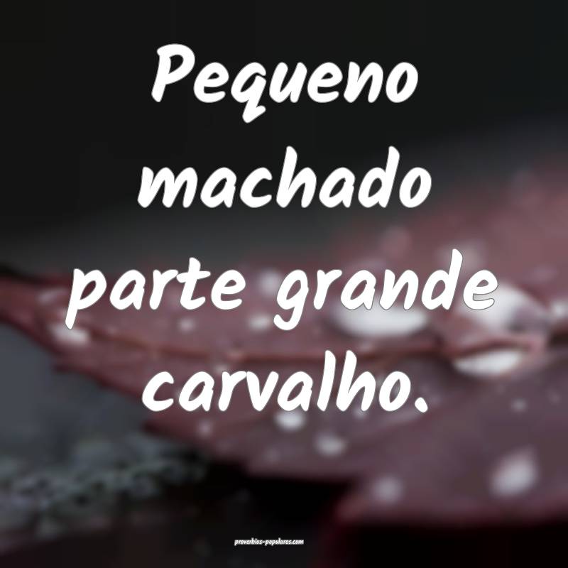 Pequeno machado parte grande carvalho.
...