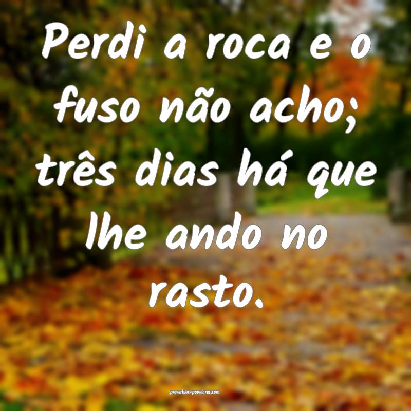 Perdi a roca e o fuso não acho; três dias há que lhe ando no rasto....