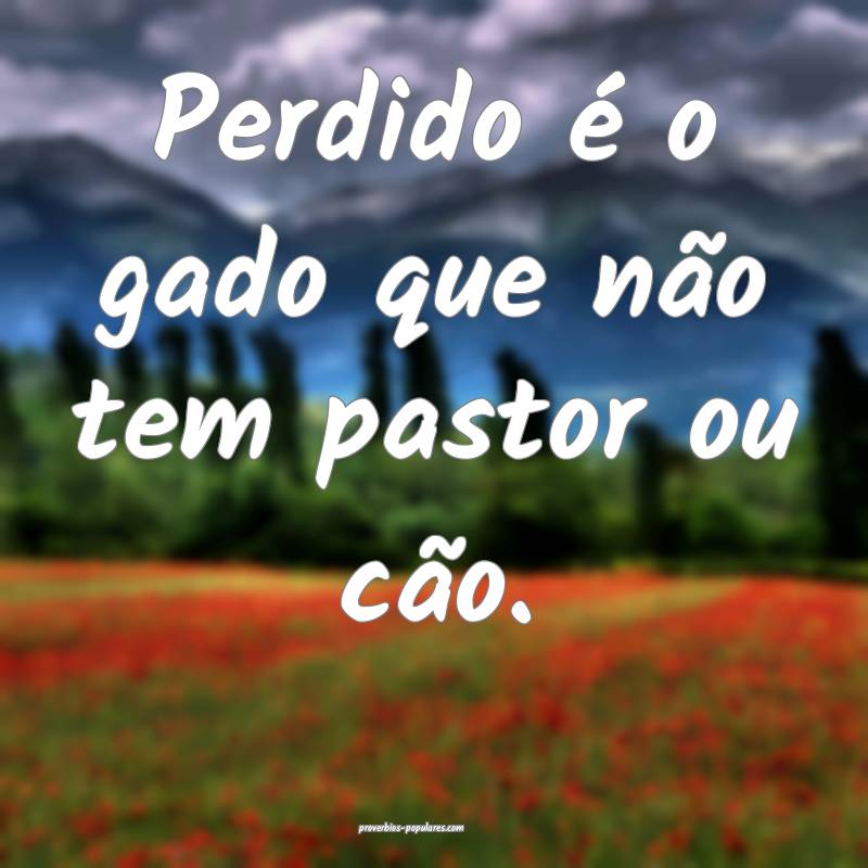 Perdido é o gado que não tem pastor ou cão.
...