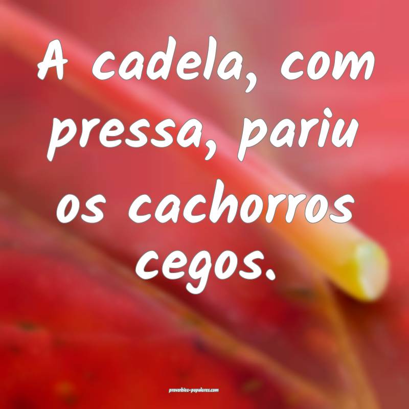 A cadela, com pressa, pariu os cachorros cegos.
...