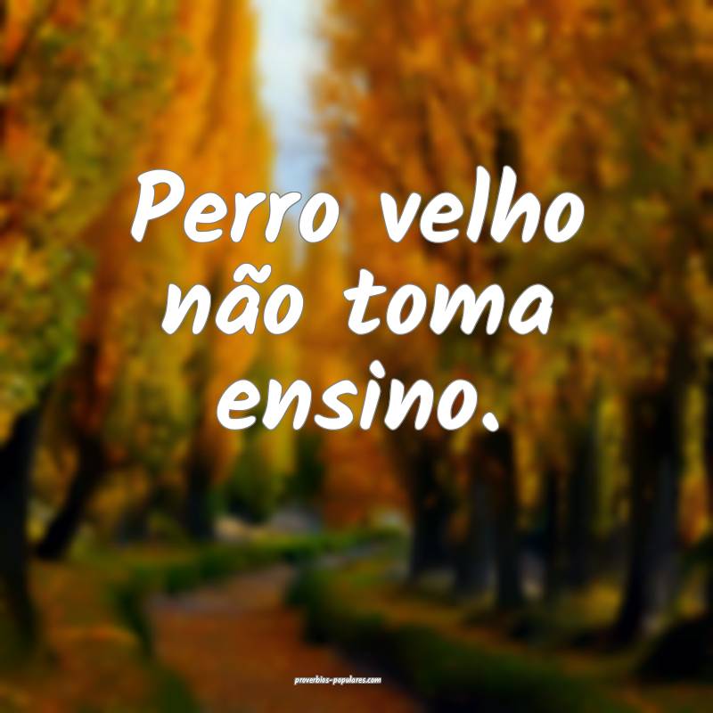 Perro velho não toma ensino.
...