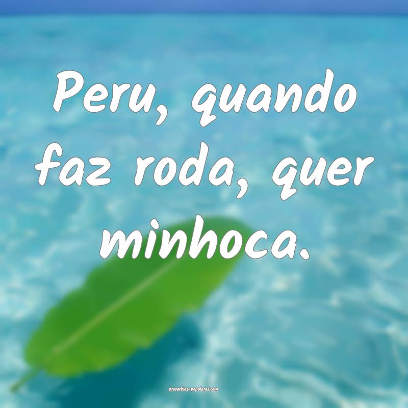 Peru, quando faz roda, quer minhoca.
 ...