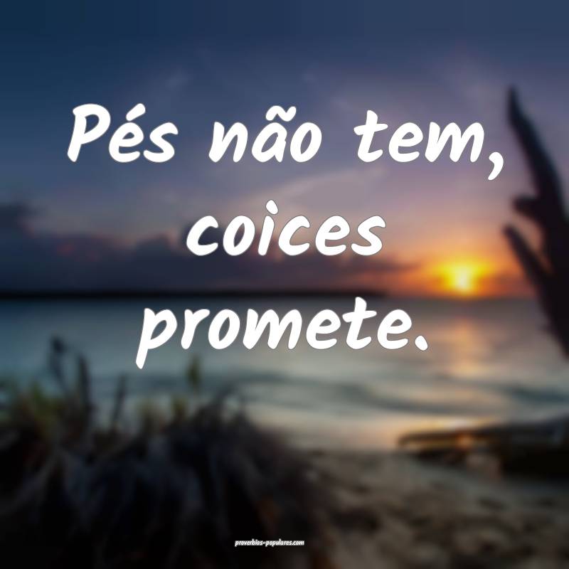 Pés não tem, coices promete.
 ...