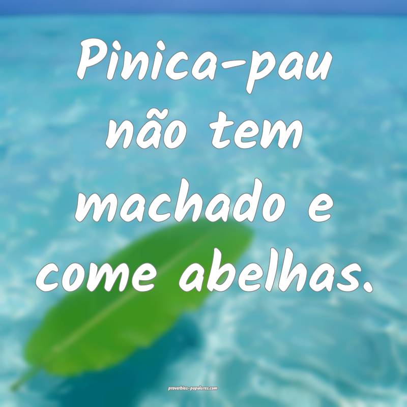 Pinica-pau não tem machado e come abelhas.
...