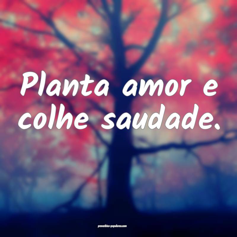 Planta amor e colhe saudade.
...