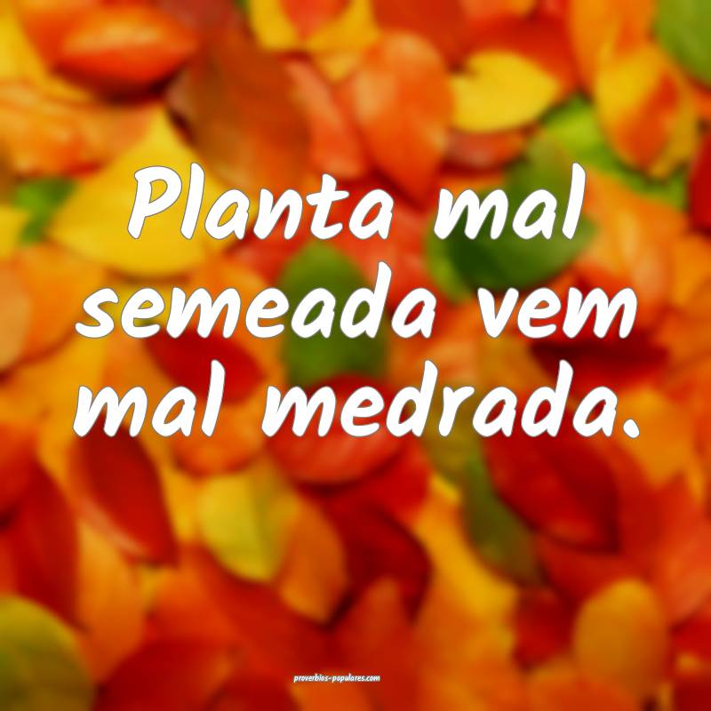 Planta mal semeada vem mal medrada.
 ...