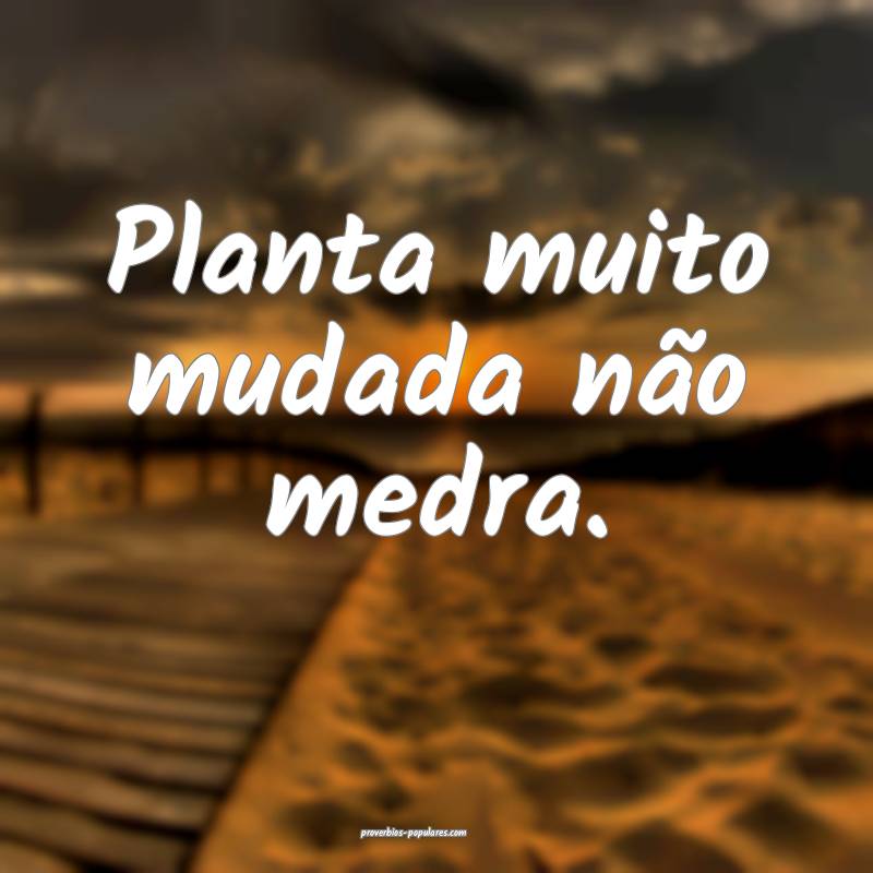 Planta muito mudada não medra.
...