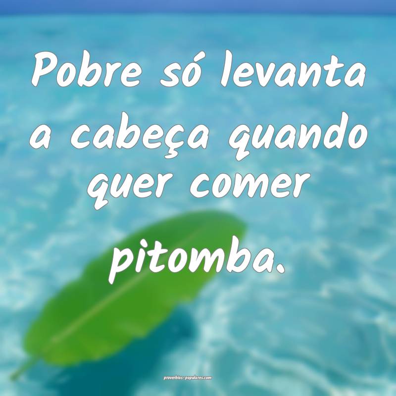 Pobre só levanta a cabeça quando quer comer pitomba.
...