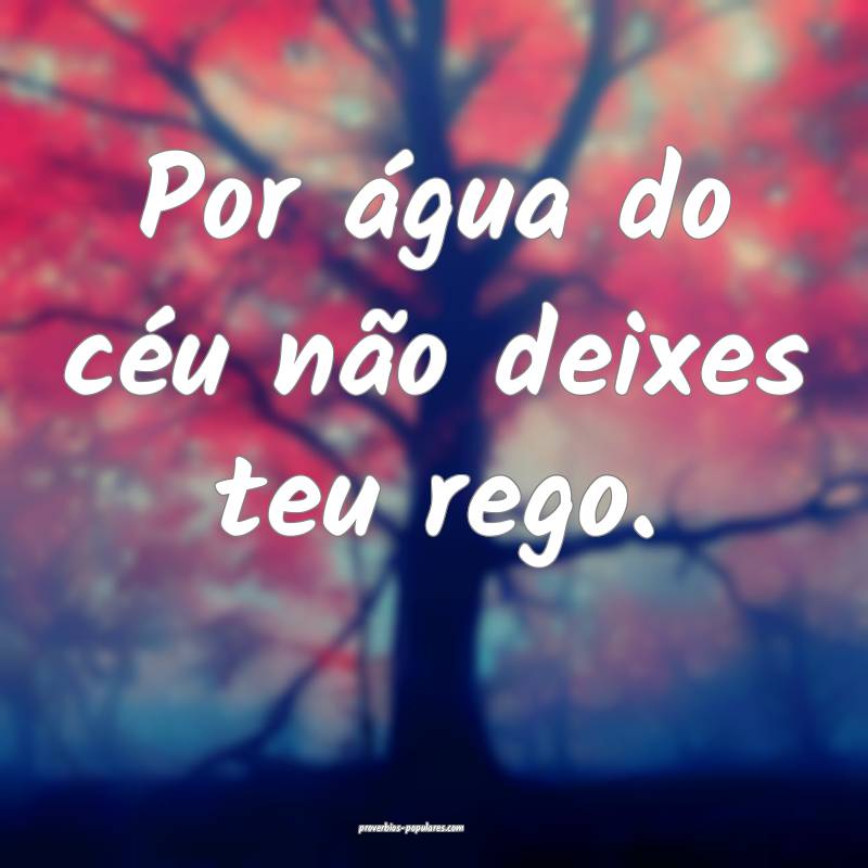Por água do céu não deixes teu rego.
...
