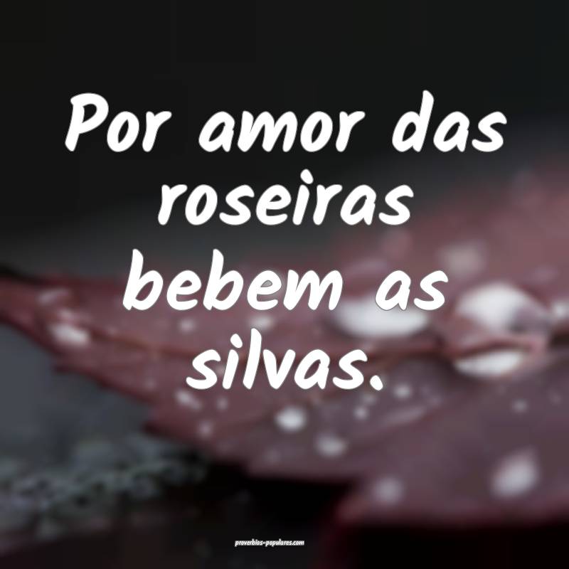 Por amor das roseiras bebem as silvas.
...