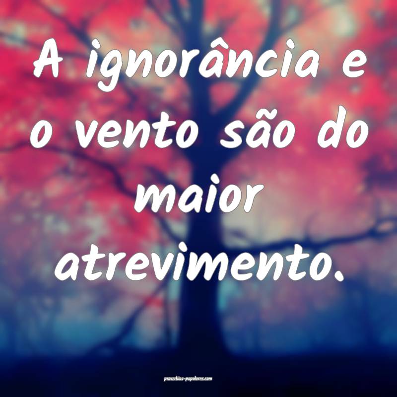 A ignorância e o vento são do maior atrevimento. ...