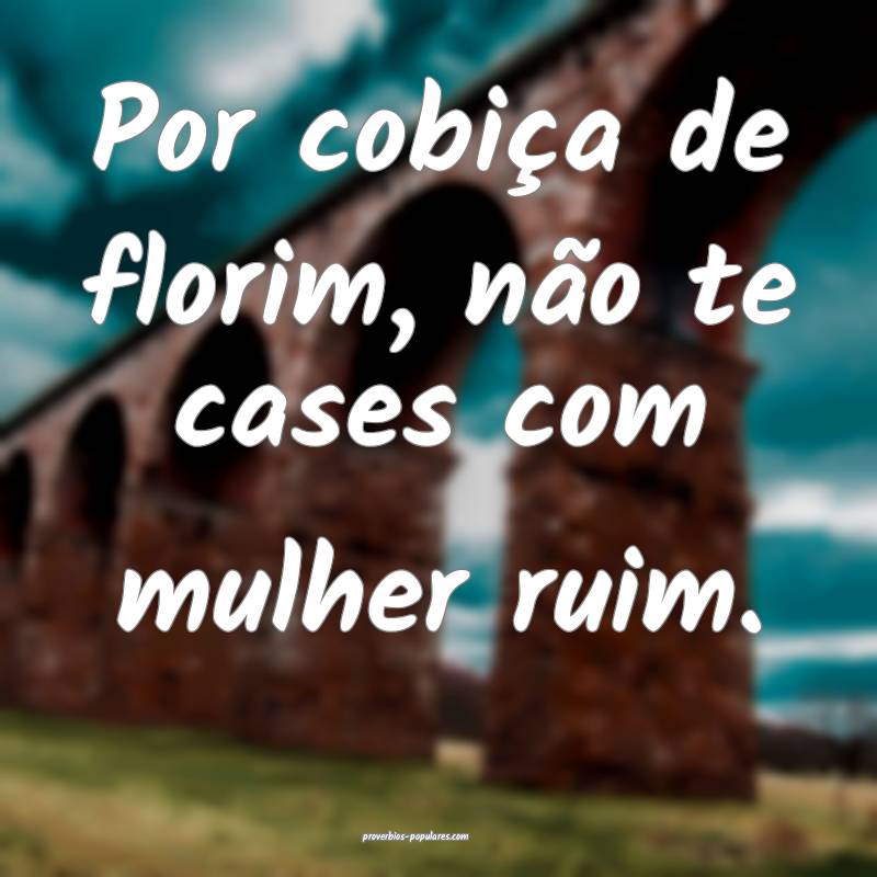 Por cobiça de florim, não te cases com mulher ruim.
...