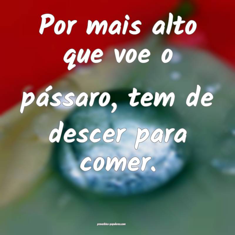 Por mais alto que voe o pássaro, tem de descer para comer.
...