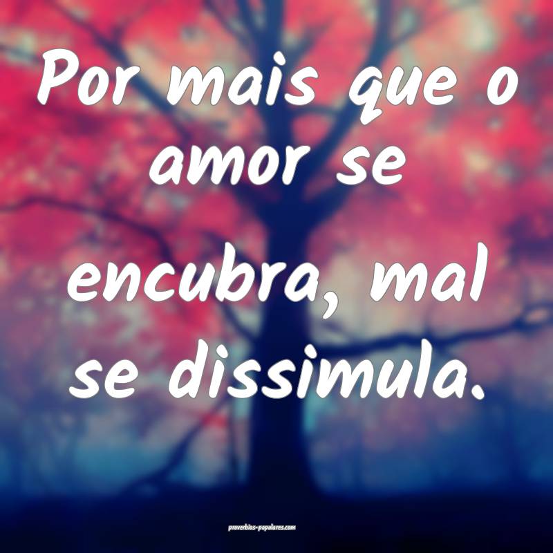 Por mais que o amor se encubra, mal se dissimula.
...