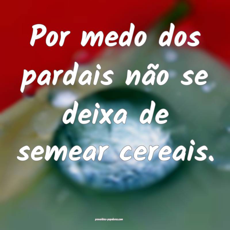 Por medo dos pardais não se deixa de semear cerea ...