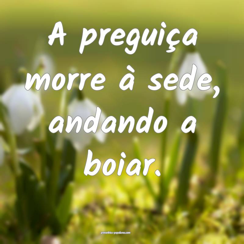 A preguiça morre à sede, andando a boiar.
 ...