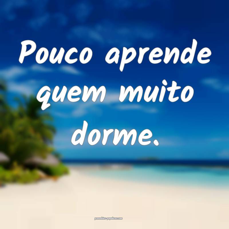 Pouco aprende quem muito dorme.
...