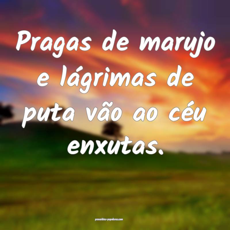 Pragas de marujo e lágrimas de puta vão ao céu enxutas.
...