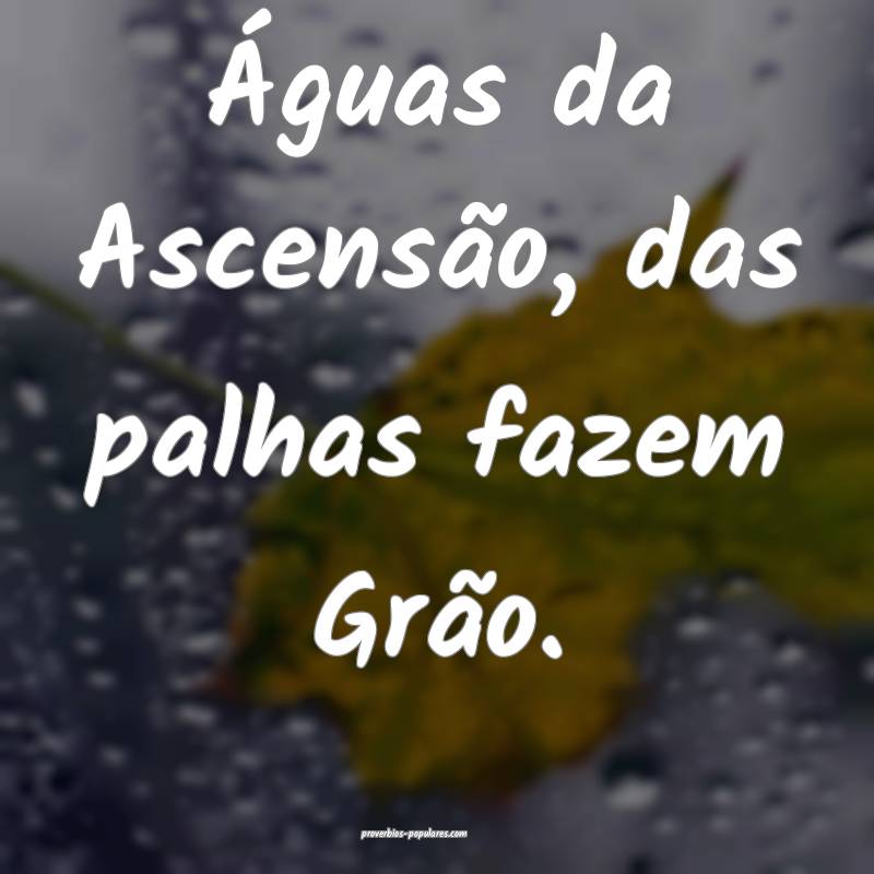 Águas da Ascensão, das palhas fazem Grão.
...
